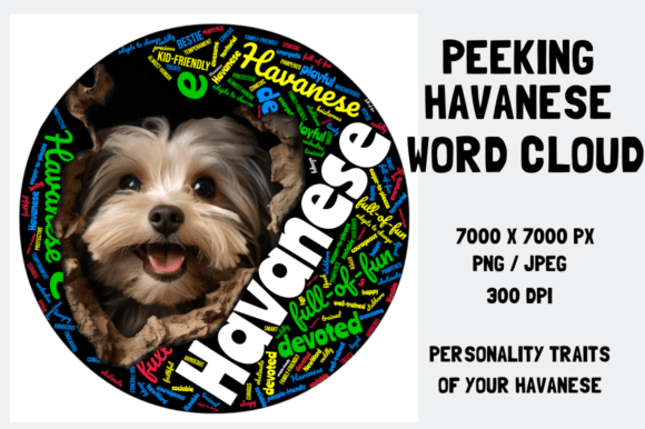 Peeking Havanese Word Cloud: A Comprehensive Guide to Visual Storytelling